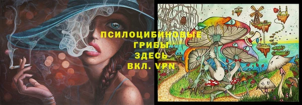круглые Алексеевка